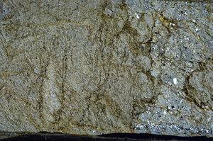 Cross Polarized, N6639