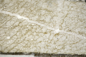 Plane Polarized, N6642