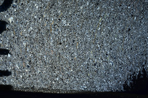 Cross Polarized, N6649