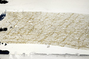 Plane Polarized, N6651