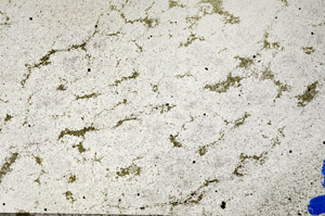 Plane Polarized, N6656