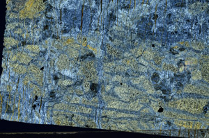 Cross Polarized, N6658/3