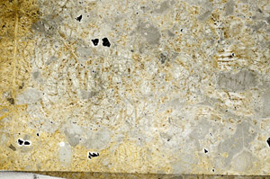 Plane Polarized, N6660