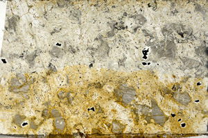 Plane Polarized, N6675