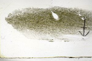 Plane Polarized, N6677
