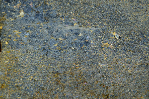 Cross Polarized, N6686