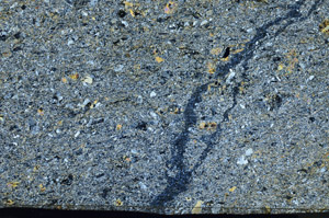 Cross Polarized, N6687
