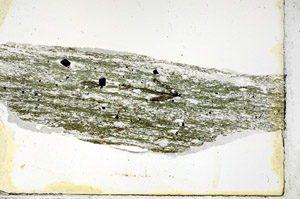 Plane Polarized, N6700
