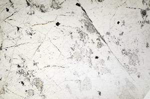 Plane Polarized, N6716