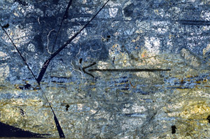 Cross Polarized, N6729