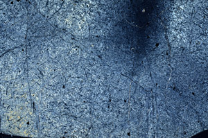 Cross Polarized, N6733