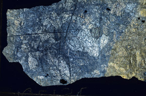Cross Polarized, N6737