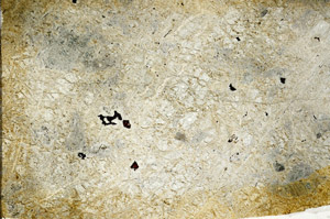 Plane Polarized, N6740