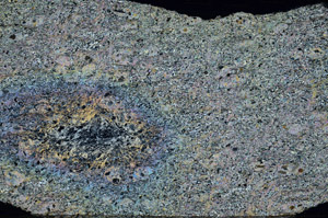 Cross Polarized, N6774