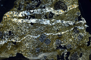 Cross Polarized, N6795