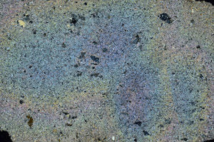 Cross Polarized, N6797