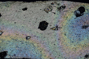 Cross Polarized, N6798