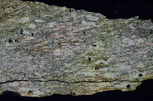 Cross Polarized, N6805