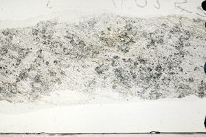 Plane Polarized, N6809