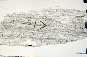 Plane Polarized, N6822