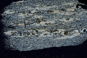Cross Polarized, N6824