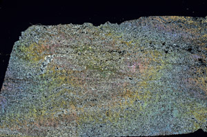 Cross Polarized, N6842