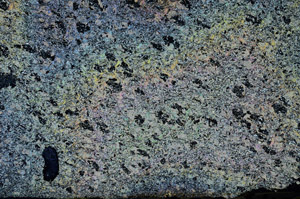 Cross Polarized, N6846