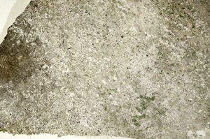 Plane Polarized, N6849