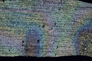 Cross Polarized, N6855