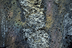 Cross Polarized, N6856