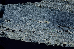 Cross Polarized, N6857