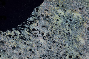 Cross Polarized, N6860
