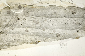 Plane Polarized, N6864