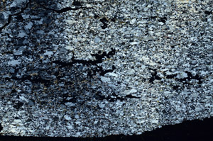 Cross Polarized, N6869