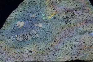 Cross Polarized, N6870