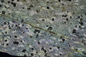 Cross Polarized, N6872