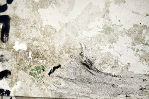 Plane Polarized, N6875