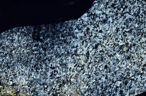 Cross Polarized, N6877/A