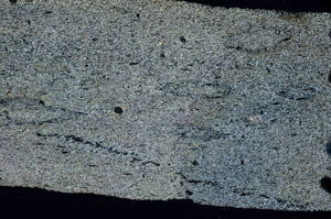 Cross Polarized, N6881