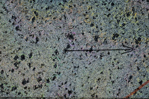 Cross Polarized, N6882