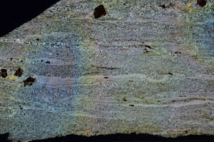 Cross Polarized, N6886