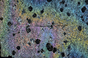 Cross Polarized, N6892