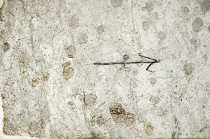 Plane Polarized, N6892