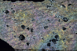 Cross Polarized, N6893