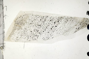 Plane Polarized, N6894