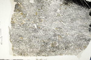 Plane Polarized, N6895
