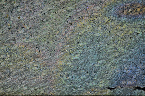 Cross Polarized, N6902