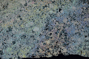 Cross Polarized, N6906/A