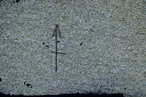 Cross Polarized, N6910