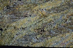 Cross Polarized, N6920